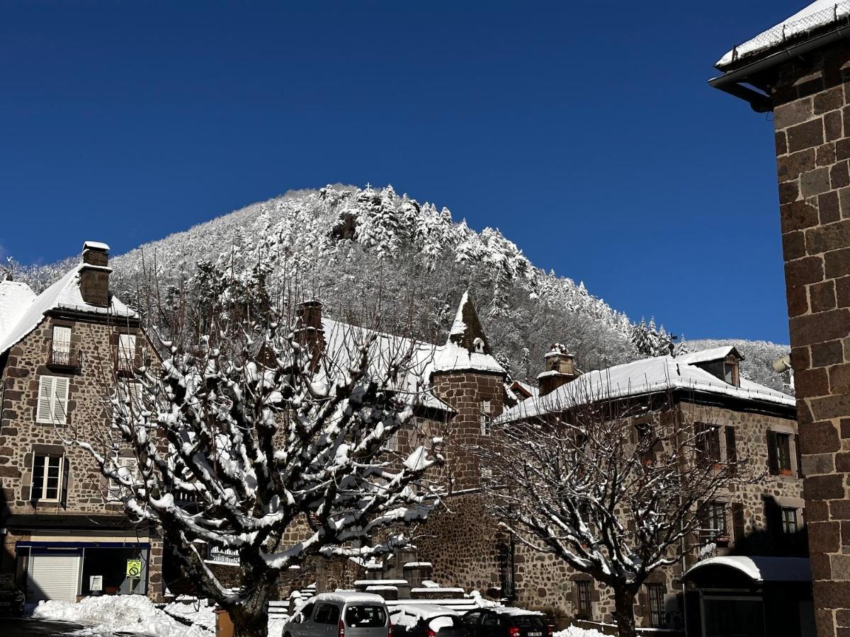 Belle Maison De Ville Au Coeur Du Village De Montagne Vic-sur-Cère Extérieur photo