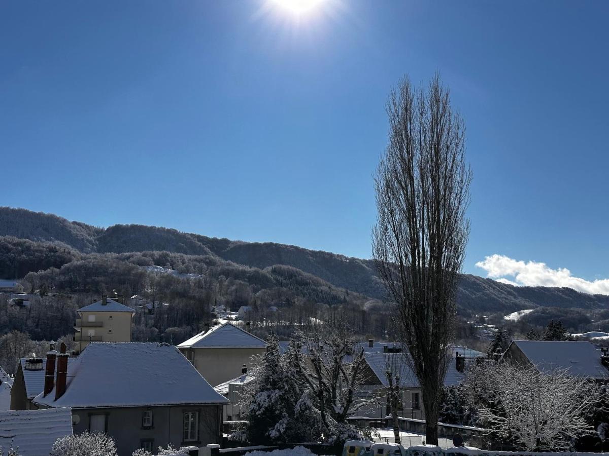 Belle Maison De Ville Au Coeur Du Village De Montagne Vic-sur-Cère Extérieur photo